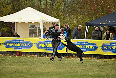 Tintenfass Watson HV'S Son