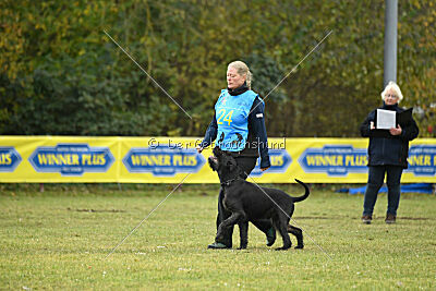 Tintenfass Watson HV'S Son