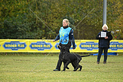 Tintenfass Watson HV'S Son