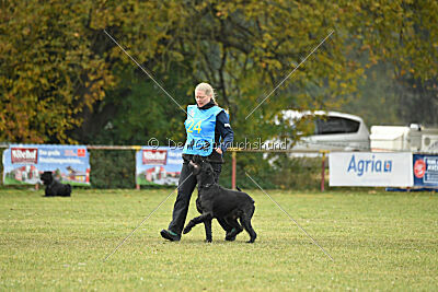 Tintenfass Watson HV'S Son