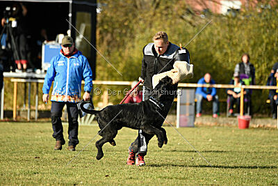 Tintenfass Wrangler HV's son