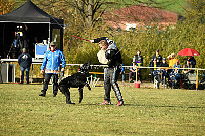 Tintenfass Wrangler HV's son