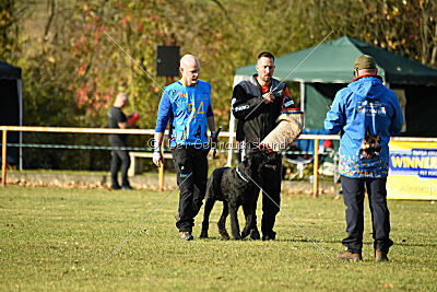 Tintenfass Wrangler HV's son