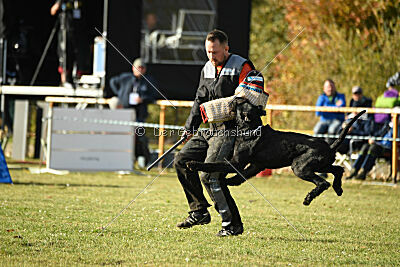 Tintenfass Wrangler HV's son