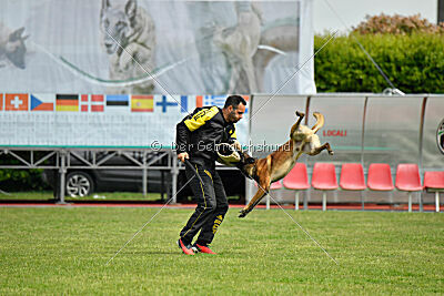 Tito Running Wild