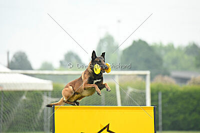 Tito Running Wild