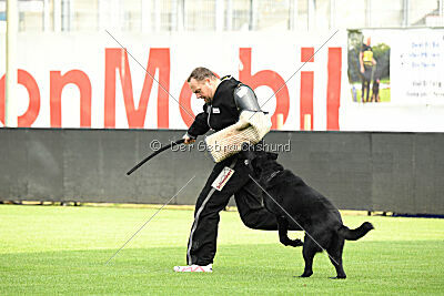 Titus vom Waisagrund