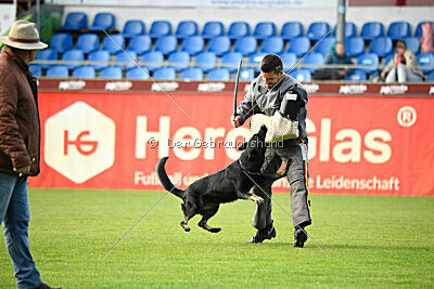 Tokyo von Berg Israel