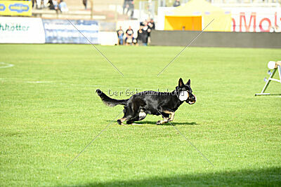 Tokyo von Berg Israel