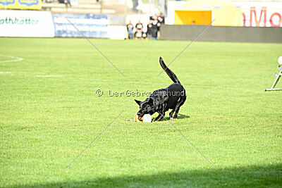 Tokyo von Berg Israel