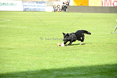 Tokyo von Berg Israel