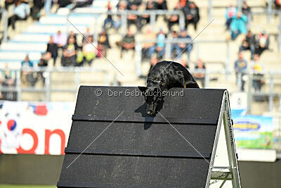 Tokyo von Berg Israel