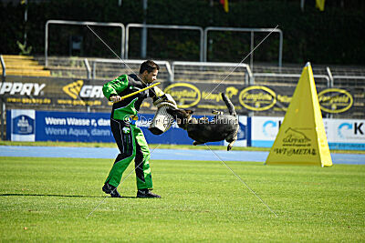Ullla aus der Königshöhle