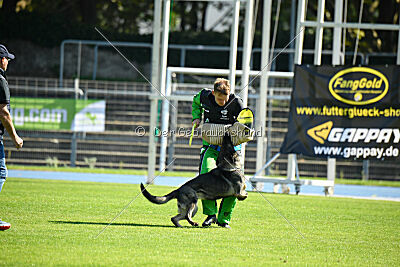 Ullla aus der Königshöhle