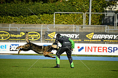 Ullmann vom Fluchtweg