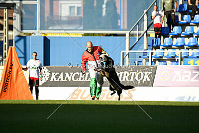 Ulrich von der Winterschal