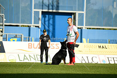 Ulrich von der Winterschal