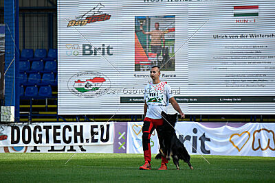 Ulrich von der Winterschal