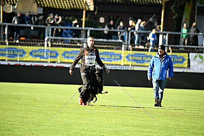 Ulrich von der Winterschal