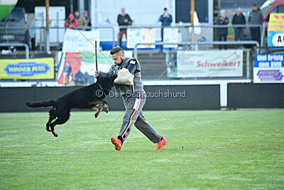 Ulrich von der Winterschal