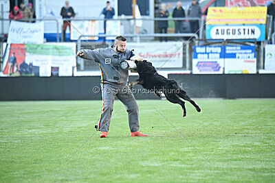 Ulrich von der Winterschal