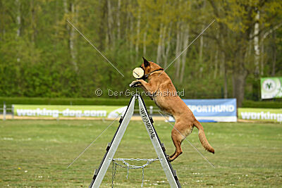 Una vom Holzhäuser Flur