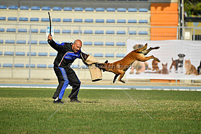 Uran vom Roten Milan