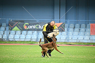 Urbancanines' Hunter