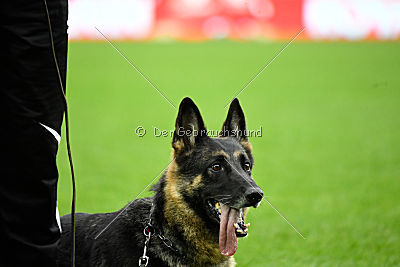 Uzi vom Wolfsgraben
