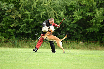 Van Gogh von der Steinteichmühle