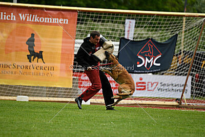 Van Gogh von der Steinteichmühle