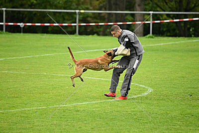 Van Gogh von der Steinteichmühle