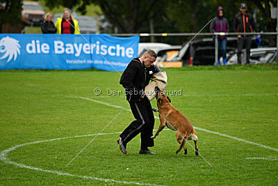 Van Gogh von der Steinteichmühle