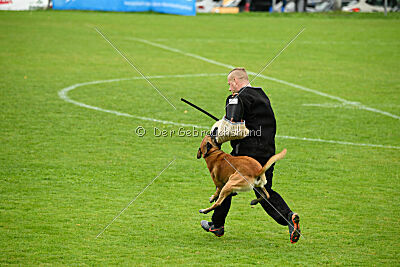 Van Gogh von der Steinteichmühle