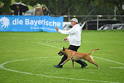 Van Gogh von der Steinteichmühle