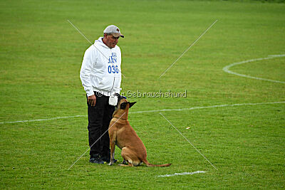 Van Gogh von der Steinteichmühle