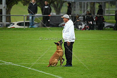 Van Gogh von der Steinteichmühle