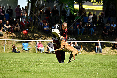 Van Gogh von der Steinteichmühle