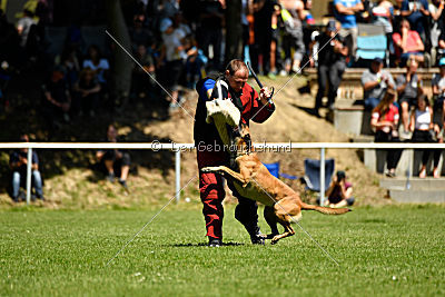 Van Gogh von der Steinteichmühle