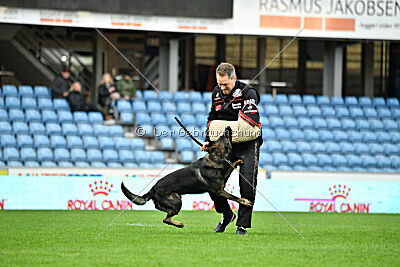 Varro Grey Archibald