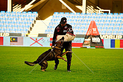 Varro Grey Archibald