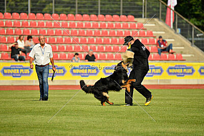 Varro von der Jagsthöhe