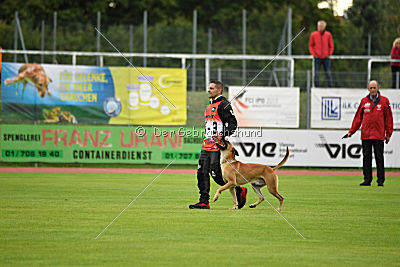 Vaxx Vaxxen von der Steinteichmühle