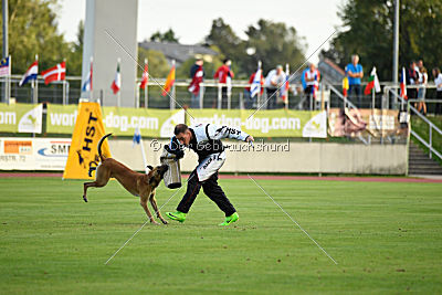 Vaxx Vaxxen von der Steinteichmühle