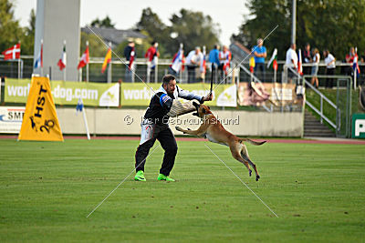 Vaxx Vaxxen von der Steinteichmühle