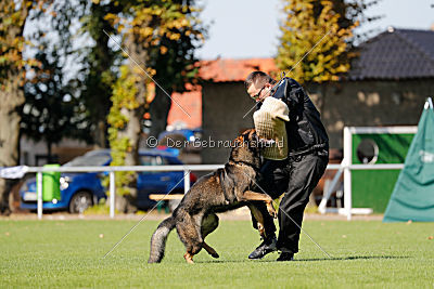 Vegas von der Burg Hinte