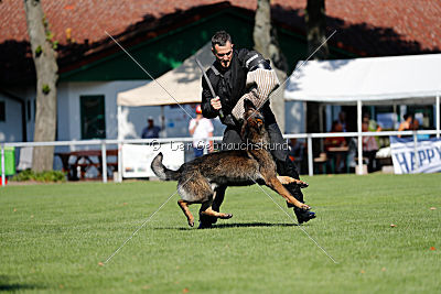 Vegas von der Burg Hinte