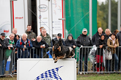 Venja vom Germanenadel