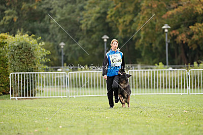 Venja vom Germanenadel