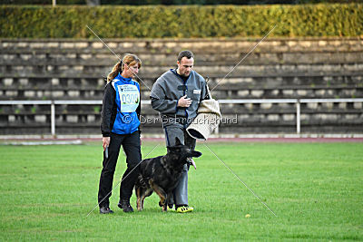 Venja vom Germanenadel